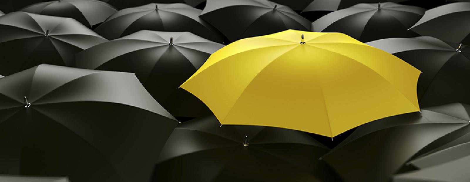 Personal Umbrella Insurance from Acentria